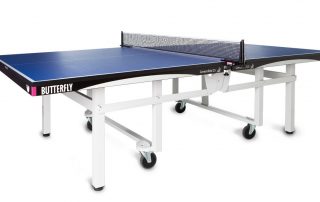 butterfly centrefold 25