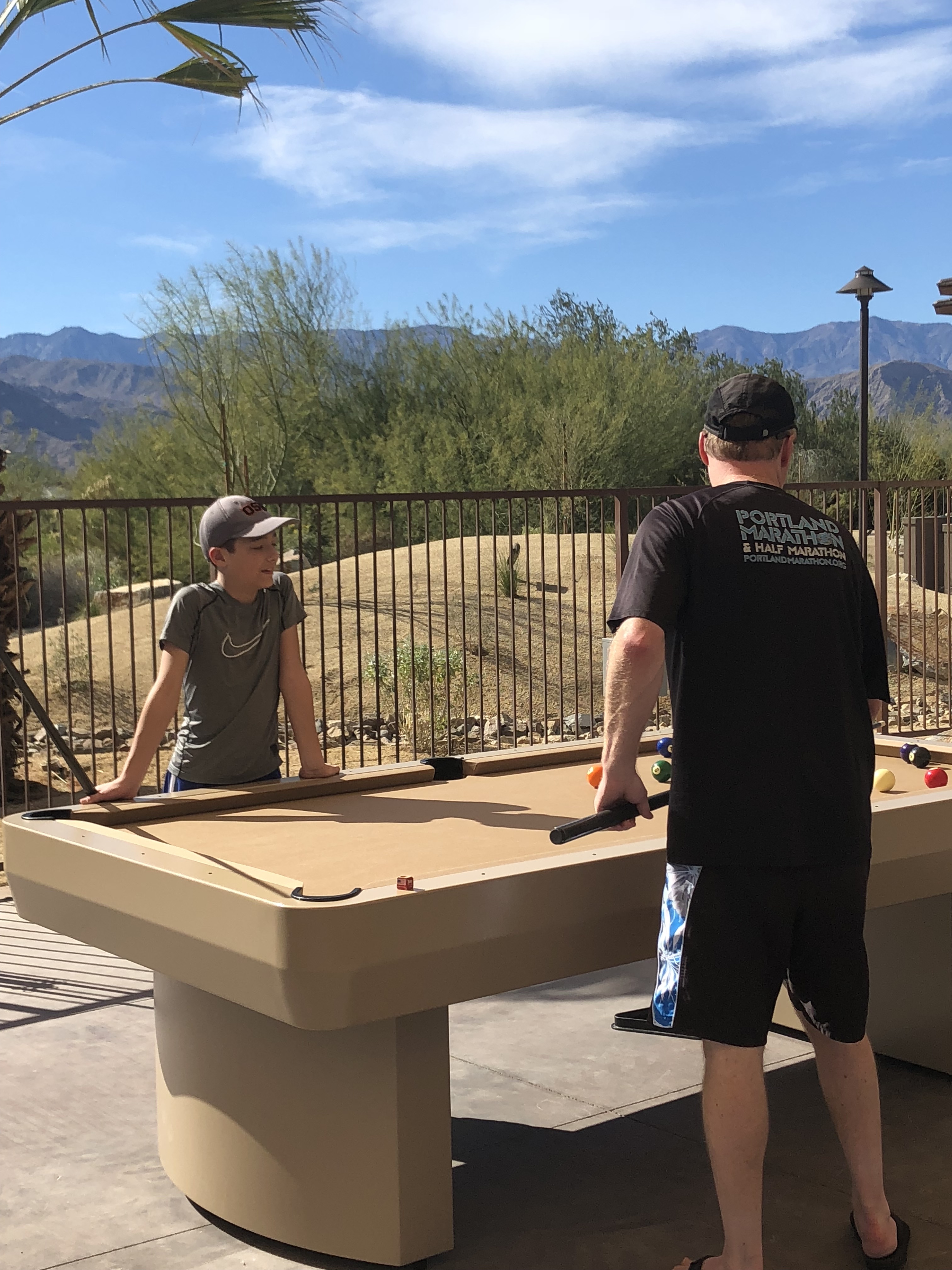 Outdoor Pool Table - 3000 Series - Image 3