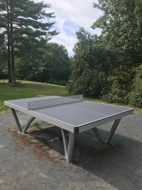 city park ping pong table massachusetts
