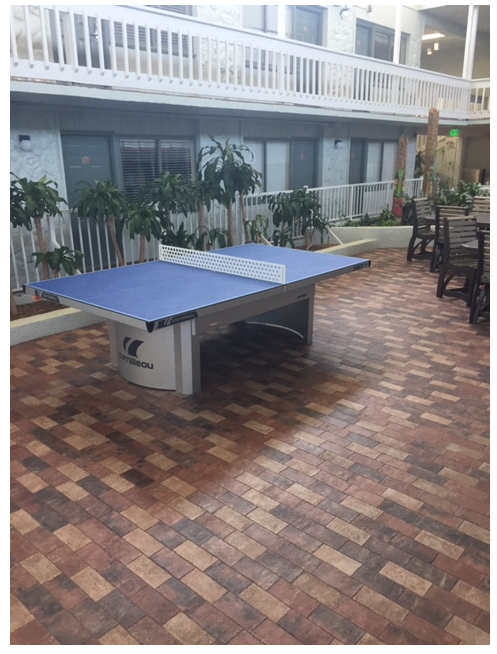 cornilleau 510 ping pong club destin florida