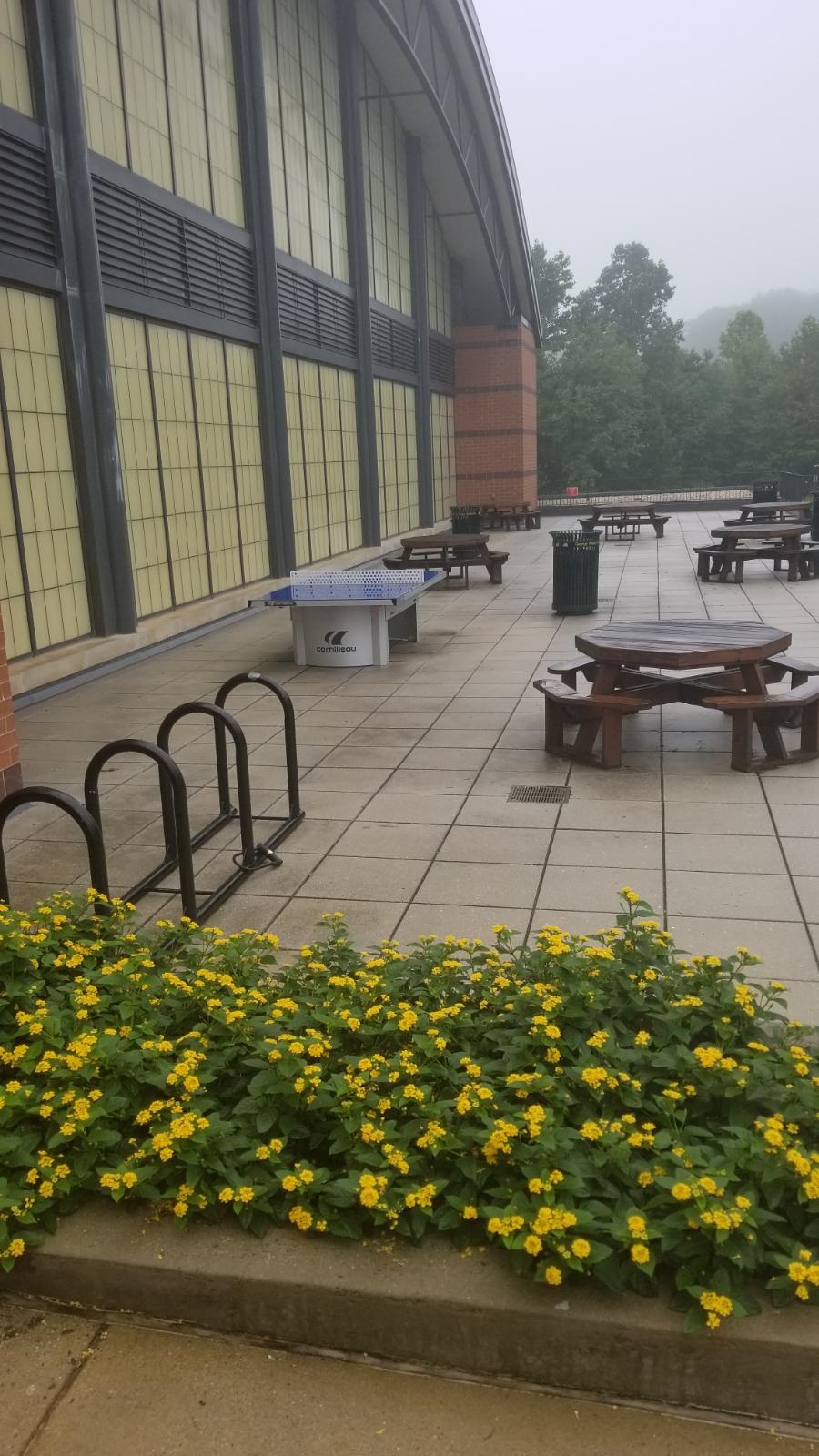 cornilleau 510 ping pong table george mason university