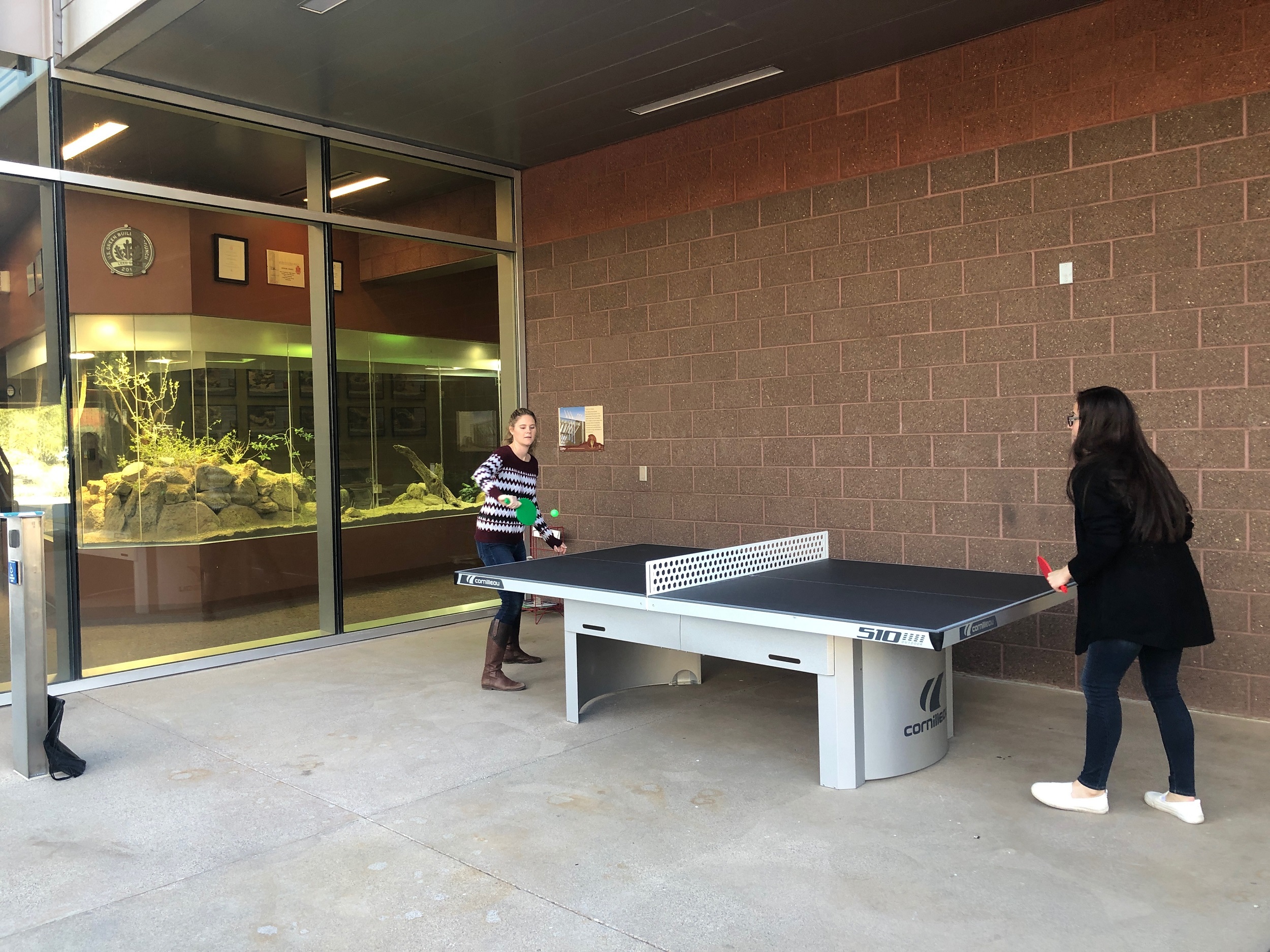 cornilleau 510 ping pong community college