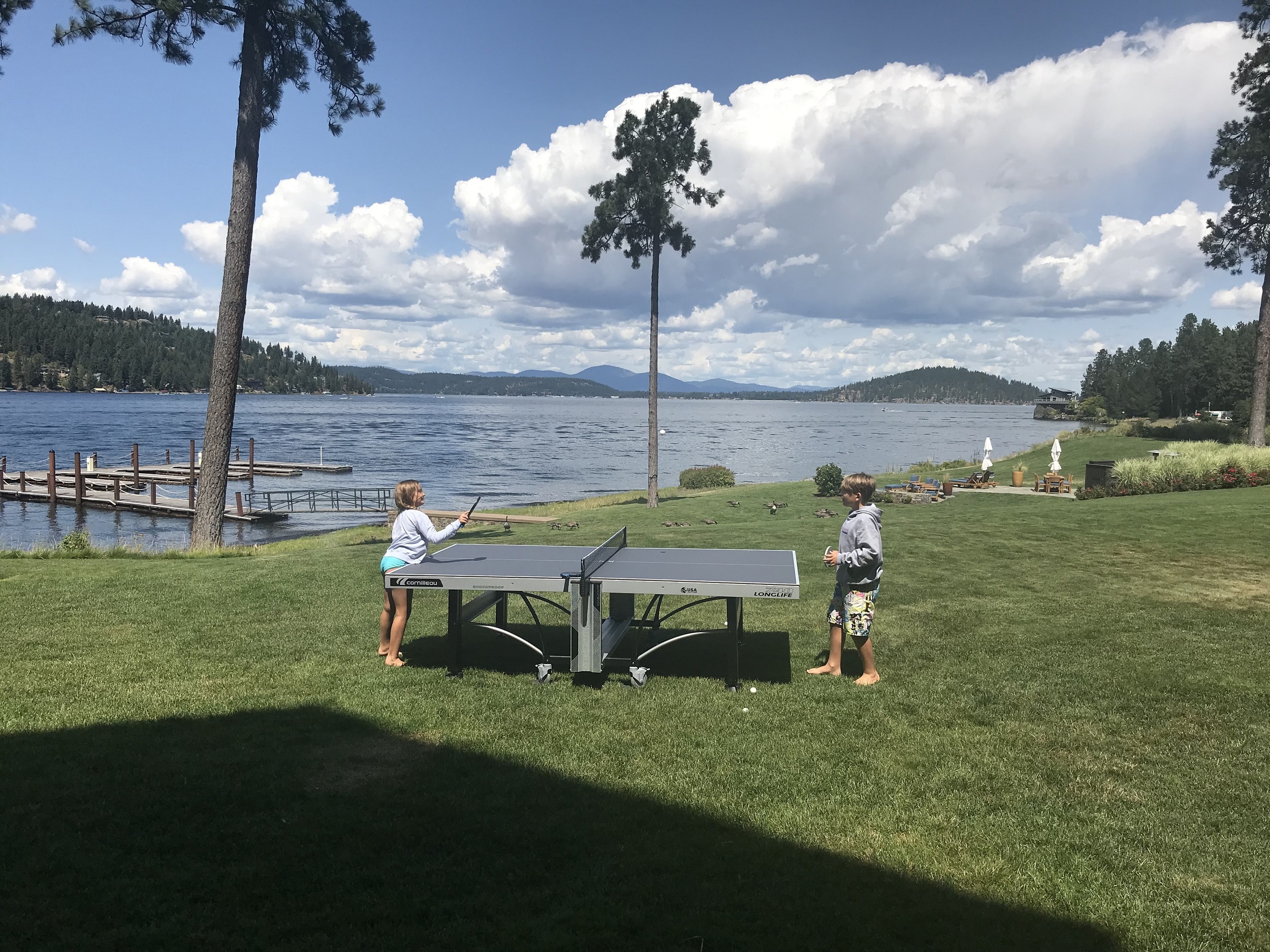 Cornilleau 740 Longlife ping pong table in Idaho